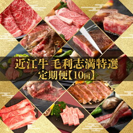 【ふるさと納税】 定期便 近江牛 食べ比べ 全10回 焼肉 すき焼き しゃぶしゃぶ サーロイン ステーキ 赤身 霜降り 定期便 肉 モモ 焼き肉 鉄板焼 和牛 赤身 霜降 黒毛和牛 お弁当 ブランド 近江牛 毎月 三大和牛 滋賀県 竜王 神戸牛 松阪牛 に並ぶ 日本三大和牛 ふるさと納税