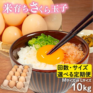 yӂ邳Ɣ[Łz  Iׂ  TCY  10kg ⏞ 5 2 3 6 12 MTCY LTCY  Y { Ĉ炿  ʎq RN Z  Ƃꂽ ܂  ʎq Y VN 