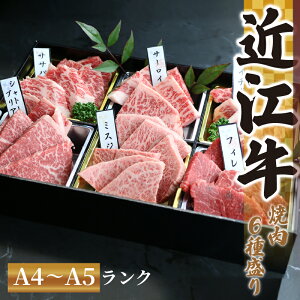 yӂ邳Ɣ[Łz ߍ] Ԑg ē  荇킹 480g Ⓚ Vg[uA T[C tB w 󏭕 ~XW C`{ a јa uh  蕨 Mtg Y ꌧ 
