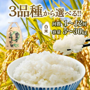 yӂ邳Ɣ[Łz Vė\ ߘa7NY  Iׂ yiz yeʁz yցz RVqJ ~L[NC[ ɂ̂߂ 5kg 10kg 20kg 30kg  3 6 2025NY V s\  