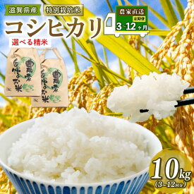 【ふるさと納税】 定期便 令和5年 米 10kg ( 10kg × 1袋 ) こしひかり 3ヶ月 6ヶ月 12ヶ月 選べる 精米 白米 5分つき 玄米 定期 3回 6回 12回 半年 1年 特別栽培米 2023年産 国産 環境こだわり 減農薬米 小分け お米 こめ おこめ 農家直送 滋賀県 竜王町