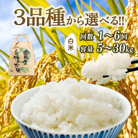 【ふるさと納税】 新米予約 令和7年産 白米 選べる 【品種】 【容量】 【定期便】 コシヒカリ ミルキークイーン にじのきらめき 5kg 10kg 20kg 30kg 定期 3ヶ月 6ヶ月 2025年産 新米 先行予約 米 特別栽培米 国産 環境こだわり お試し こめ 農家直送 滋賀県 竜王町 送料無料