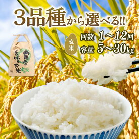 【ふるさと納税】 新米予約 令和7年産 玄米 選べる 【品種】 【容量】 【定期便】 コシヒカリ ミルキークイーン にじのきらめき 5kg 10kg 20kg 30kg 定期 3ヶ月 6ヶ月 2025年産 新米 先行予約 米 特別栽培米 国産 環境こだわり お試し こめ 農家直送 滋賀県 竜王町 送料無料
