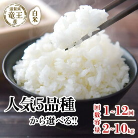 【ふるさと納税】 新米予約 令和7年産 白米 選べる こしひかり ミルキークイーン 夢ごこち みずかがみ にじのきらめき 選べる 品種 容量 定期便 2kg 5kg 10kg 定期便 3ヶ月 6ヶ月 12ヶ月 米 特別栽培米 国産 環境こだわり お試し こめ 精米 農家直送 滋賀県 竜王町 送料無料