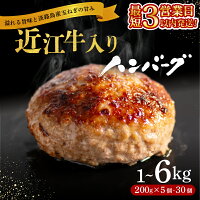 【ふるさと納税】 ＼総合1位獲得／ 近江牛 入り ハンバーグ 6kg 3k...