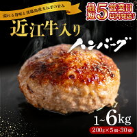 【ふるさと納税】 ＼総合1位獲得／ 近江牛 入り ハンバーグ 6kg 3k...