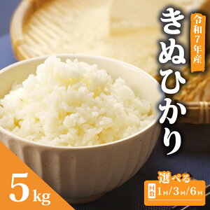 yӂ邳Ɣ[Łz ߘa7NY V  LkqJ 5kg Iׂ ͂ 3 6 Pi   ʂЂ Y ꌧ Y  CX   Sn   R  Yn