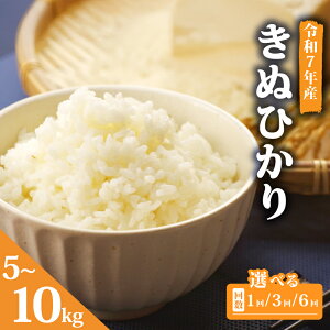 yӂ邳Ɣ[Łz ߘa7NY V  LkqJ 5kg Iׂ ͂ 3 6 Pi   ʂЂ Y ꌧ Y  CX   Sn   R  Yn