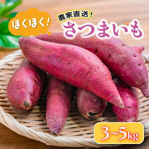 yӂ邳Ɣ[Łz ܂ 3 ~ 5 kg  Tc}C Ă   ȂƋ TC ₳ Ă w  XC[g|eg  XC[c Ԍ H VN { Yn 