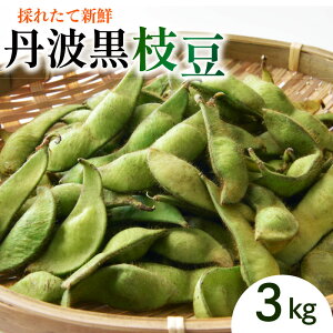 yӂ邳Ɣ[Łz } 1 ~ 3 kg  Og} } 哤 Og } { ̂ꂽ Yn } ܂ TC ₳ H VN ꌧ   Y Ԍ H VN { 