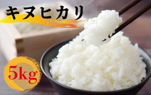 yӂ邳Ɣ[Łz y2TԈȓzyߘa6NYz  LkqJ 5kg  ʂЂ Y ꌧ Y  CX   Sn   R  Yn  Mtg 