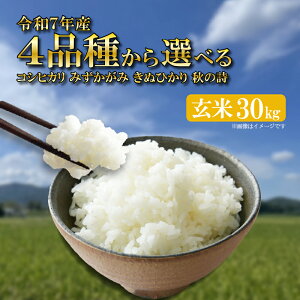 yӂ邳Ɣ[Łz V RVqJ ݂ ʂЂ H̎ ߘa7NY 30kg 1   Ђ ~YJK~ LkqJ ̂ R7   ͂ ӂ邳Ɣ[ ꌧ  