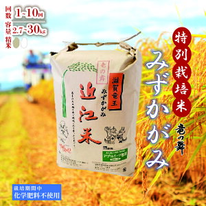 �y�ӂ邳�Ɣ[�Łz �݂������� ���� 2.7kg ~ 27kg ����� 4�� ~ 10�� 4���� ~10���� ( ���Ď� 3kg 5kg 10kg �`30kg ���� 2025�N�Y ���̕� ���w�엿�s�g�p ���ʍ͔|�� ���Y ���S ���S �ߍ]�� �� ���� ���� ����