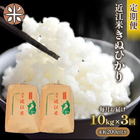 【ふるさと納税】 定期便 3回 きぬひかり 10kg × 3ヶ月 計 30kg 米粉 200g付 令和5年産 近江米 お米 精米 ご飯 白米 新米 ブランド米 滋賀県 竜王町