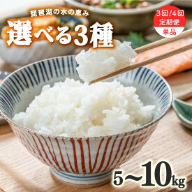 【ふるさと納税】 令和7年産 新米 米 5kg 10kg 選べる 【 容量 品種 お届け回数 】ミルキークイーン コシヒカリ にじのきらめき 単品 定期便 3ヶ月 4ヶ月 5kg × 2袋 白米 国産 農家直送 お米 こめ 産地直送 滋賀県 竜王町 送料無料 竜王 ふるさと ランキング 人気 おすすめ