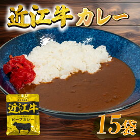 【ふるさと納税】 近江牛 レトルト カレー 160g×6～15袋セット 【 黒毛和牛 牛肉 960g ～ 2400g 肉 ギフト 自宅用 黒毛和牛 国産 近江 三大和牛 和牛 贈り物 内祝い 神戸牛 松阪牛 に並ぶ 日本三大和牛 滋賀県 竜王町 澤井牧場 送料無料 5000円以下 お買い物マラソン 】