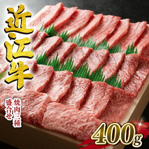 yӂ邳Ɣ[Łz ߍ]  ē O 荇킹 400g   ~ Ԑg Y   uh {Oa a јa 蕨 Mtg Ⓚ ꌧ  Vq