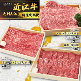 【ふるさと納税】 近江牛 定期便 3回 特選 黒毛和牛 計1740g 近江牛 食べ比べ 冷蔵 焼肉 しゃぶしゃぶ サーロインステーキ すき焼き すきやき やきしゃぶ 鉄板 焼き肉 ステーキ とろける 冷蔵 BBQ 日本三大和牛 ブランド 鉄板焼き 滋賀県 竜王町 毛利志満 ギフト 贈り物