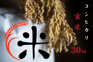 yӂ邳Ɣ[Łz yߘa7NY ʍ͔| ߍ] wRVqJx30kgz  ߍ] Ђ ꌧ 