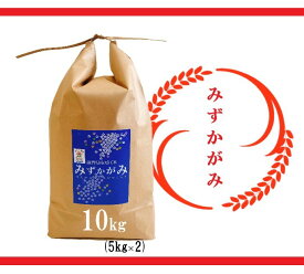 【ふるさと納税】【令和5年産 特別栽培 近江米『みずかがみ』10kg(5kg×2)】 米 近江米 みずかがみ ブランド米 滋賀県 竜王