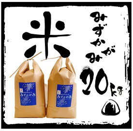 【ふるさと納税】 【令和5年産 特別栽培 近江米 『みずかがみ』20kg(5kg×4)】 米 近江米 みずかがみ ブランド米 滋賀県 竜王