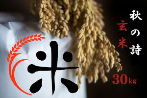 yӂ邳Ɣ[Łz yߘa7NY ʍ͔| ߍ] wH̎x30kgz  ߍ] H̎ uh ꌧ 