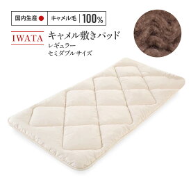 【ふるさと納税】 IWATA キャメル敷きパット レギュラー・セミダブルサイズ 送料無料 羽毛 ふとん 軽い 熟睡 パット セミダブル AA023