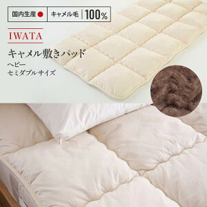 yӂ邳Ɣ[ŁzIWATA@L@~pbh@wr[^Cv@Z~_uTCY@N_@AA026