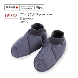 yӂ邳Ɣ[ŁzIWATA@v~AEH[}[@H \bNX@LTCY@C@@AA049