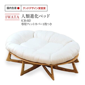 yӂ邳Ɣ[ŁzIWATA@lސixbh@CB-02@iptBbgJo[1j@AA056
