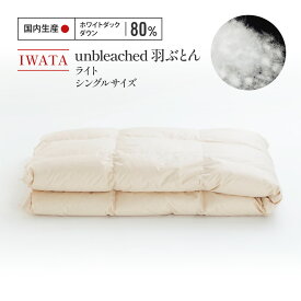 【ふるさと納税】 羽毛布団 シングル IWATA ダックダウン 軽量 職人 滋賀県 愛荘町