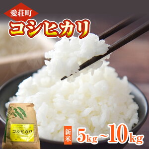 �y�ӂ邳�Ɣ[�Łz�������_�� �������Y �R�V�q�J�� 5kg�`10kg �ߘa7�N�Y�@���� ���ā@AG02