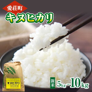 yӂ邳Ɣ[Łz_ Y LkqJ 5kg`10kg ߘa7NY@ ā@AG03