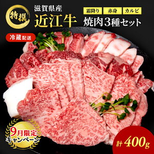 yӂ邳Ɣ[Łzy9܂ł̌艿izߍ] I ē 3퐷 400g  јa Ă ēp Jr Ԑg ~  a [ Œ3J cp2509@͂FɖZ͍Œ3B[