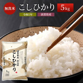 【ふるさと納税】米 こしひかり BG無洗米 5kg 令和5年 ふるさと応援特別米 無洗米 お米 こめ コメ おこめ 白米 コシヒカリ　【米・無洗米・お米・コシヒカリ】　お届け：ご入金の翌月下旬に出荷いたします・納期指定不可