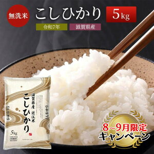 yӂ邳Ɣ[Łzy9܂ł̌艿izyߘa7NYVāzystJnzꌧYЂ BG 5kg   R   RVqJ 2025N10菇o׊Jn cp2509@