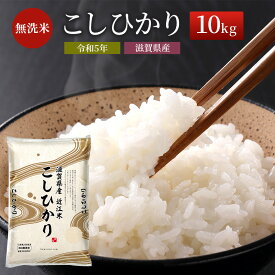 【ふるさと納税】米 こしひかり BG無洗米 10kg 令和5年 ふるさと応援特別米 無洗米 お米 こめ コメ おこめ 白米 コシヒカリ　【米・無洗米・お米・コシヒカリ】　お届け：ご入金の翌月下旬に出荷いたします・納期指定不可