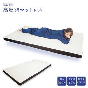 yӂ邳Ɣ[Łz}bgX  tbg^Cv 160N   8cm ALX Q