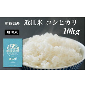 yӂ邳Ɣ[Łzߘa7NYV ߍ] RVqJ  10kg ꌧLY   R   @͂F2025N10菇o׊Jn