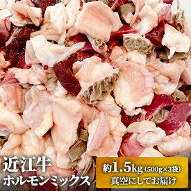 【ふるさと納税】近江牛ホルモンミックス　約1.5kg ふるさと納税 牛肉 お肉 もつ鍋 牛肉炒め物 　お届け：繁忙期は最長3か月。納期指定不可