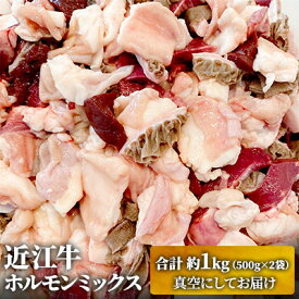 【ふるさと納税】近江牛ホルモンミックス　合計約1kg ふるさと納税 お肉 もつ鍋 　お届け：繁忙期は最長3か月。納期指定不可