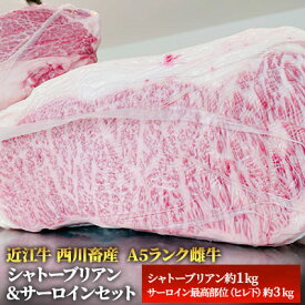 【ふるさと納税】【最短1週間発送】 A5 近江牛 肉 ステーキ 牛肉 雌牛 シャトーブリアン サーロイン セット 黒毛和牛 サーロインステーキ お肉 牛 和牛 ブランド牛 滋賀県 豊郷町　お届け：繁忙期に限り納期最長3～5ヶ月。納期指定不可