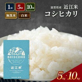 【ふるさと納税】選べる 容量 回数 白米 無洗米 こしひかり 特A受賞歴 令和7年産 滋賀県産 豊郷町 ベイシーン 米 近江米 コシヒカリ 時短
