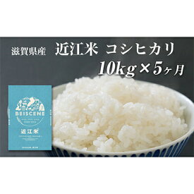 【ふるさと納税】令和5年産　滋賀県豊郷町産　近江米 コシヒカリ　10kg×5ヶ月　【定期便・ お米 白米 ごはん ライス 主食 炭水化物 おにぎり 】　お届け：ご入金の翌月中旬に出荷いたします