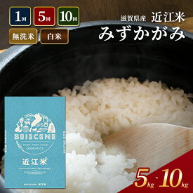 【ふるさと納税】選べる 容量 回数 白米 無洗米 みずかがみ 特A受賞歴 令和7年産 滋賀県産 豊郷町 ベイシーン 米 近江米 ミズカガミ 時短 お弁当