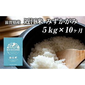 【ふるさと納税】【令和5年度新米】令和5年産新米　滋賀県豊郷町産　近江米 みずかがみ　5kg×10ヶ月　【定期便・ お米 白米 ごはん ライス 主食 炭水化物 おにぎり 】　お届け：ご入金の翌月中旬に出荷いたします