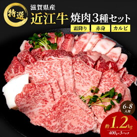 【ふるさと納税】近江牛 特選 焼肉 3種盛り 約1.2kg(6～8人用)　国産　牛肉　牝牛　ブランド牛　3パック　滋賀県　豊郷町　BBQ　バーベキュー