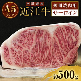 【ふるさと納税】【最短1週間発送】 A5ランク 近江牛 焼肉 肉 牛肉 雌牛 ステーキ サーロイン 約500g 短冊焼肉用 ふるさと納税 お肉 ブランド牛 和牛 黒毛和牛 滋賀県 豊郷町