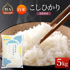 【ふるさと納税】米 コシヒカリ 白米 5kg コメ お米 こめ 精米 こしひかり 滋賀県 豊郷町