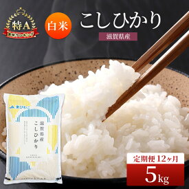 【ふるさと納税】米 定期便 コシヒカリ 白米 5kg 定期 12回 コメ お米 こめ 精米 こしひかり 滋賀県 豊郷町